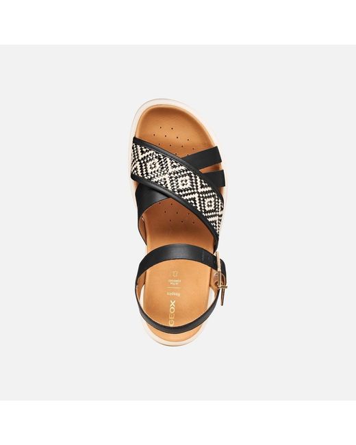Geox Black Xand 2S