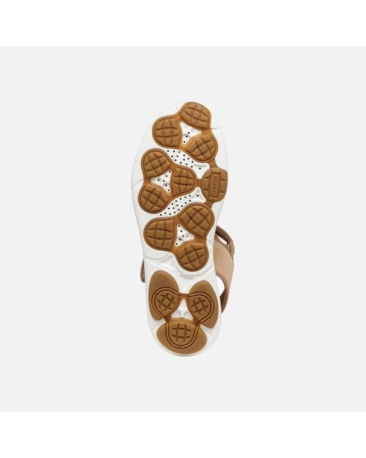 Geox Metallic Nebula 2.0 C S