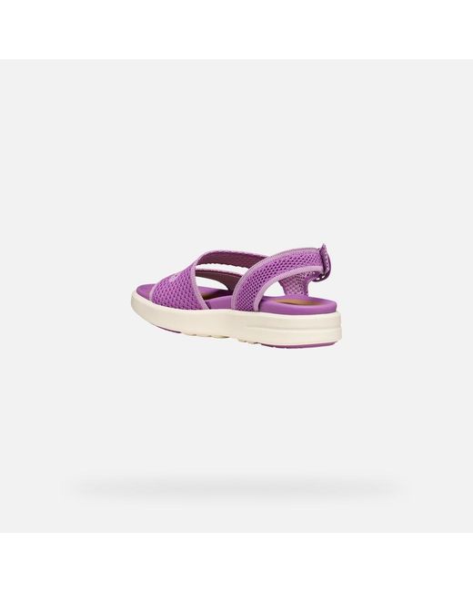 Geox Purple Climasandal Sprt