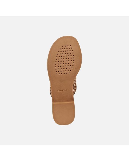 Geox Brown Maddalusia C