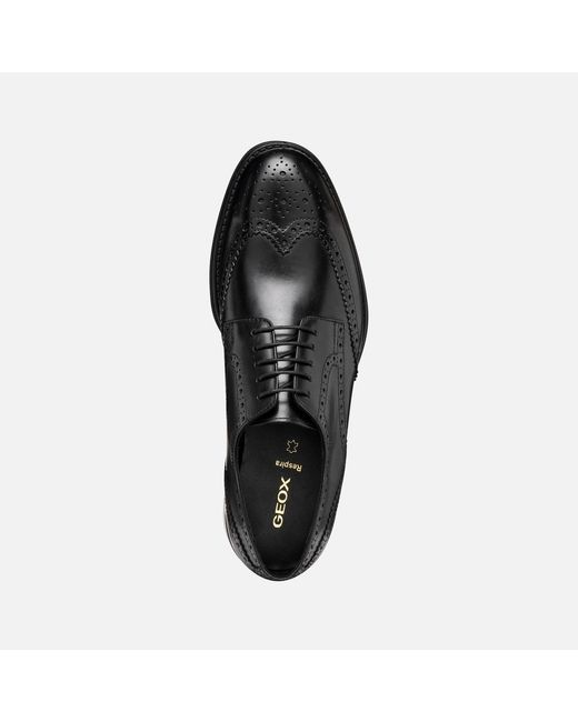 Geox Black Barberigo for men