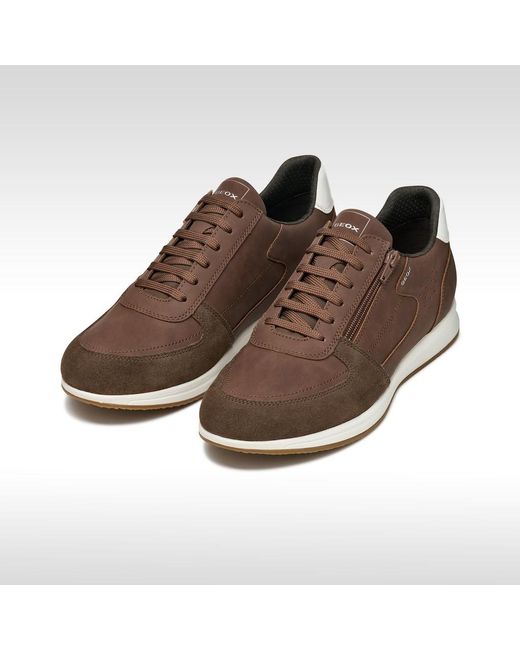 Geox Brown Avery for men
