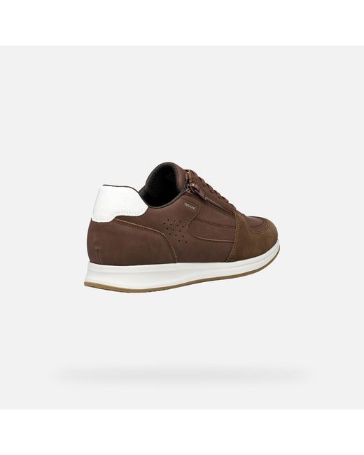Geox Brown Avery for men