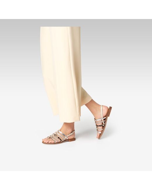 Geox Brown Maddalusia C