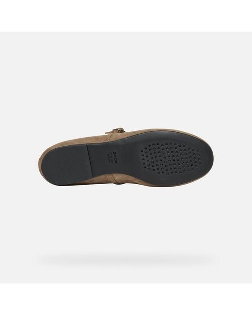 Geox Gray New Palmaria