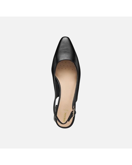 Geox Black Giselda