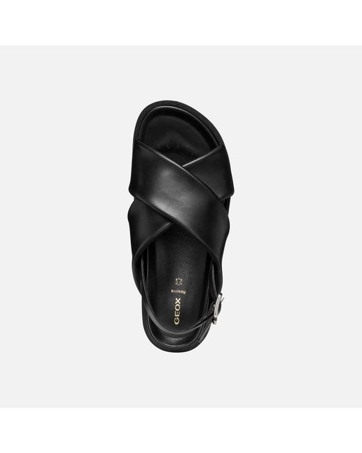 Geox Black Adelash H