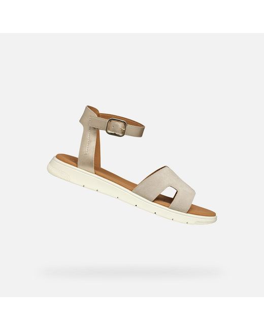 Geox Metallic Dandra