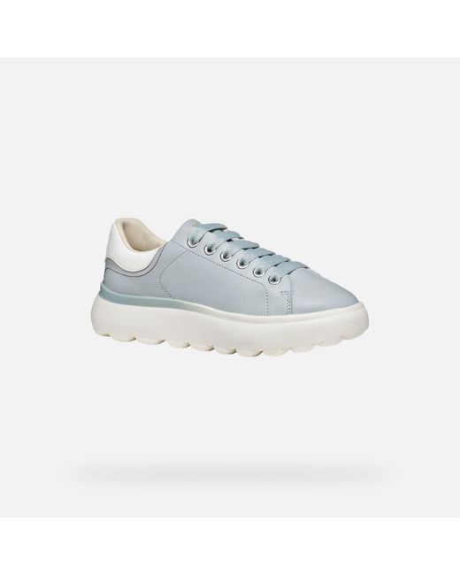 Geox Blue Spherica Ec4.1