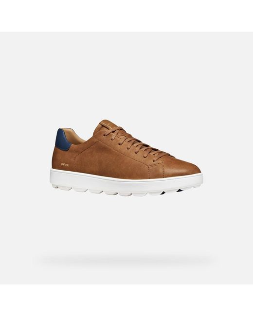Geox Brown Spherica Ecub-1 B for men