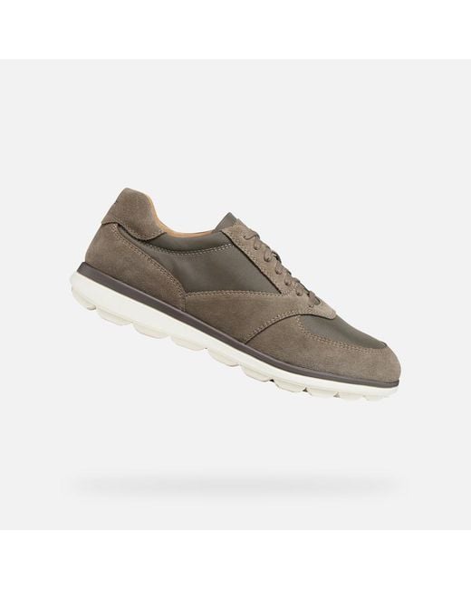Geox Gray Spherica Ec12 for men