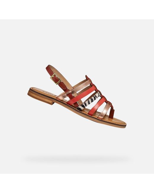 Geox Brown Maddalusia C