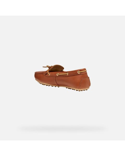 Geox Brown Kalistena