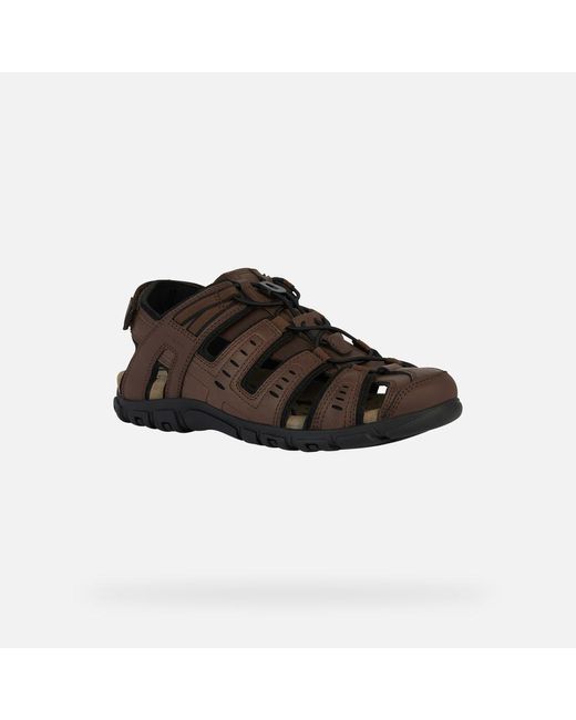 Geox Brown Strada for men
