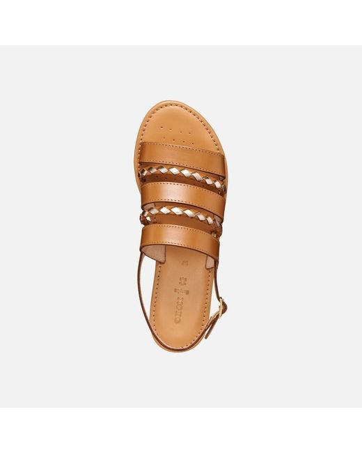 Geox Brown Sozy S