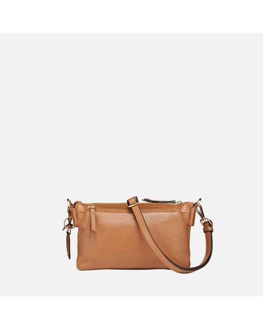 Geox Brown Accessori Claree