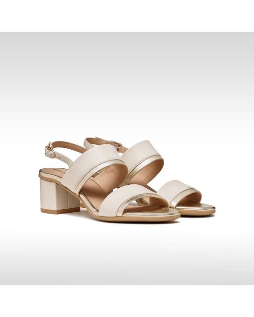 Geox White Aurely 50