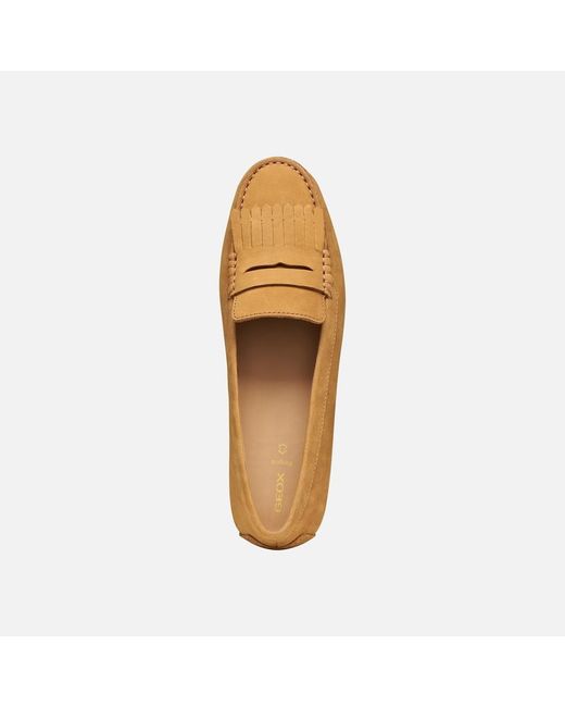 Geox Brown Kalistena