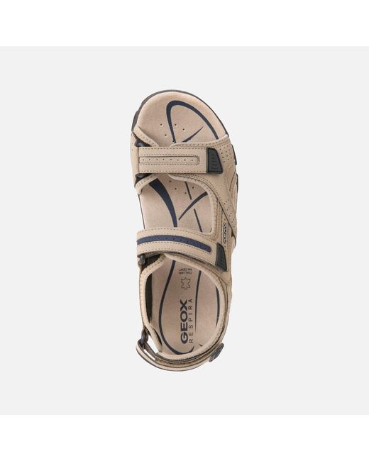 Geox Multicolor Strada for men