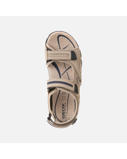 Geox Multicolor Strada for men