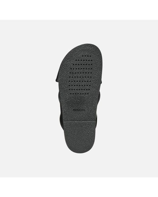 Geox Black Adelash