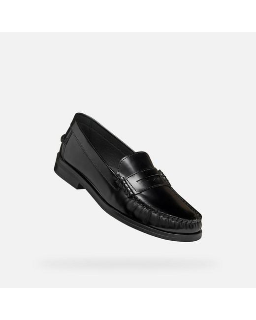 Geox Black Noemen