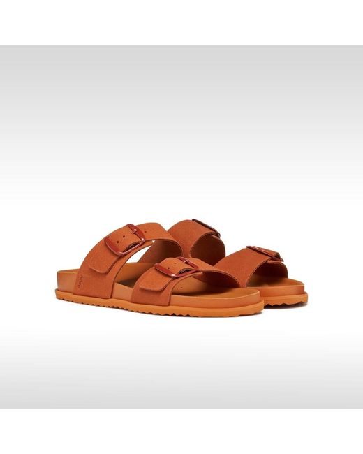 Geox Brown Sandybett