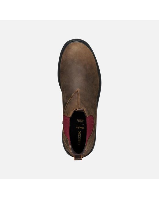 Geox Brown Spherica Ec7 B Coffee/Bordeaux for men