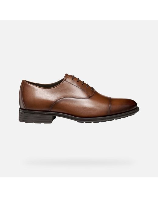 Geox Brown Walk Pleasure F for men