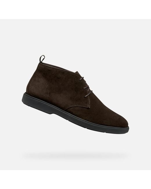 Geox Brown Spherica Ec17 for men