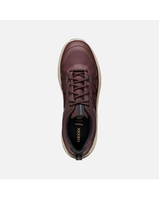 Geox Brown Spherica 4X4 Abx for men