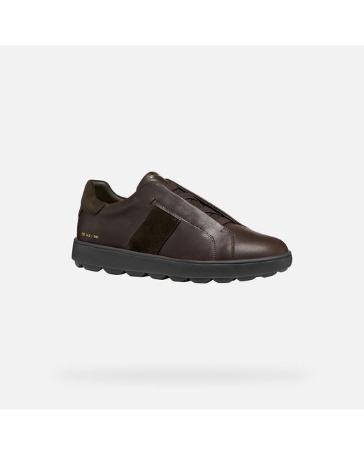Geox Schuhe Spherica Ecub-1 Herr in Brown für Herren