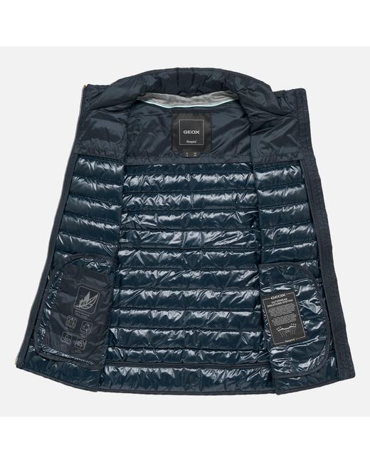 Geox Blue Jaysen