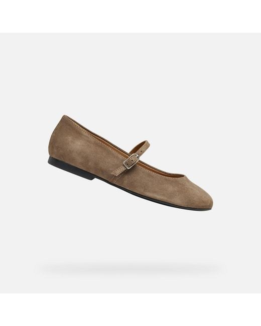 Geox Gray New Palmaria