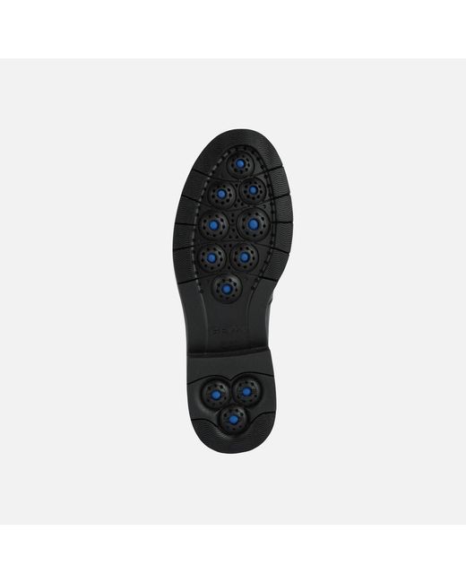 Geox Black Spherica Ec1
