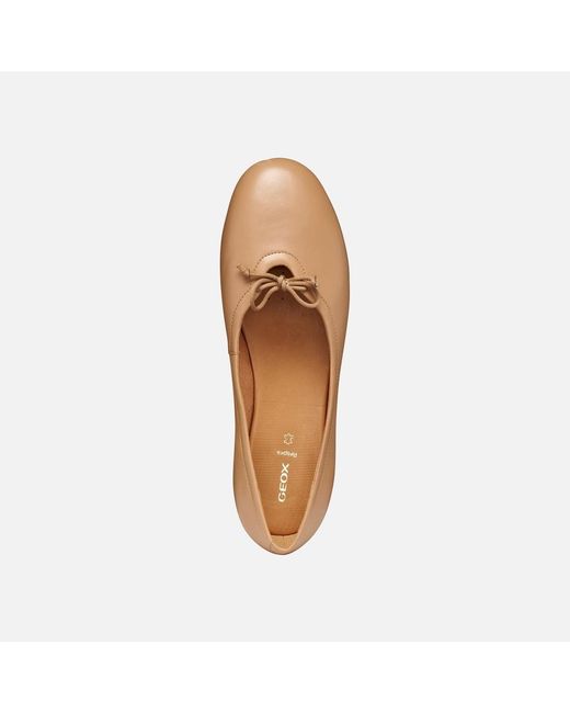 Geox Natural New Palmaria