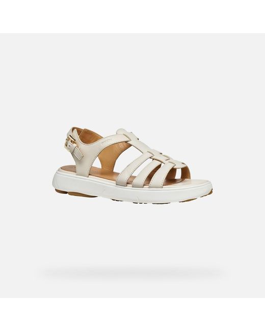 Geox White Nebula 2.0 C S