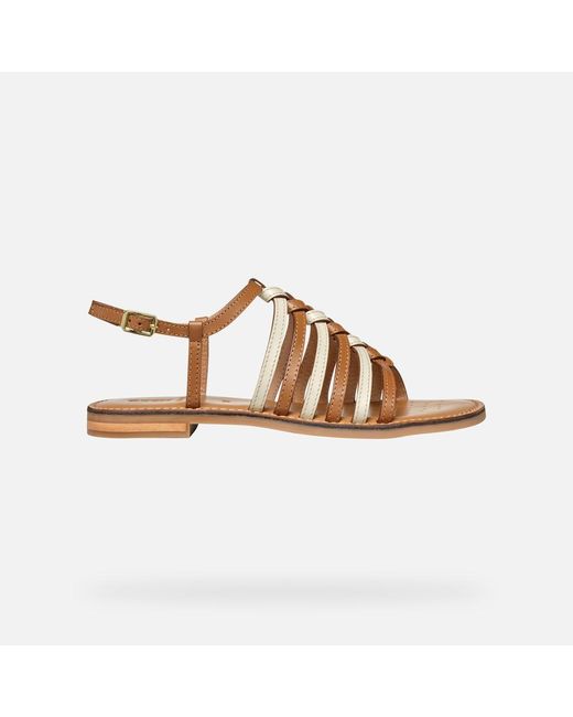 Scarpe Maddalusia C Donna di Geox in Brown
