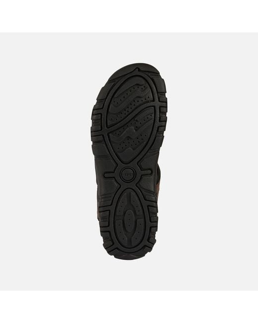 Geox Brown Strada for men