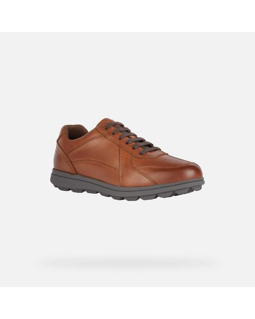 Geox Brown Spherica Ec12 for men