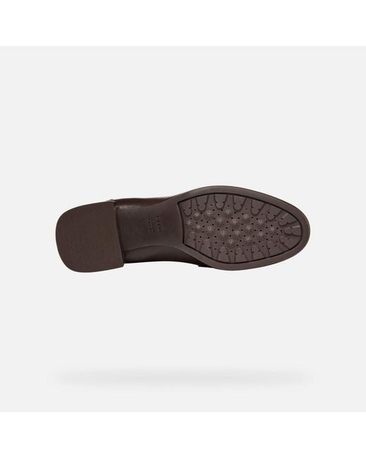 Geox Brown Walk Pleasure 55T