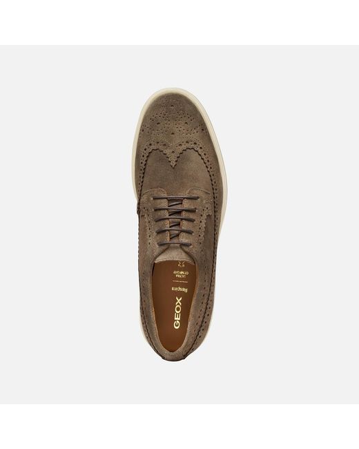 Geox Brown Spherica Ec17 for men
