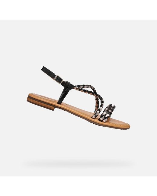 Geox Brown Sozy S