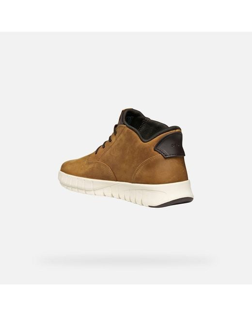 Flextride Plus Hombre Geox de hombre de color Brown