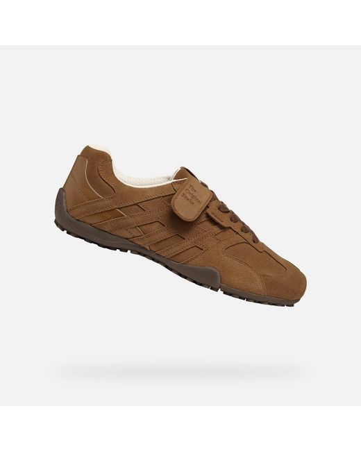 Geox Brown Snake for men