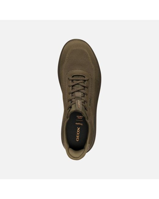 Geox Brown Spherica Plus for men