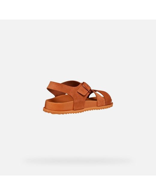 Geox Brown Sandybett