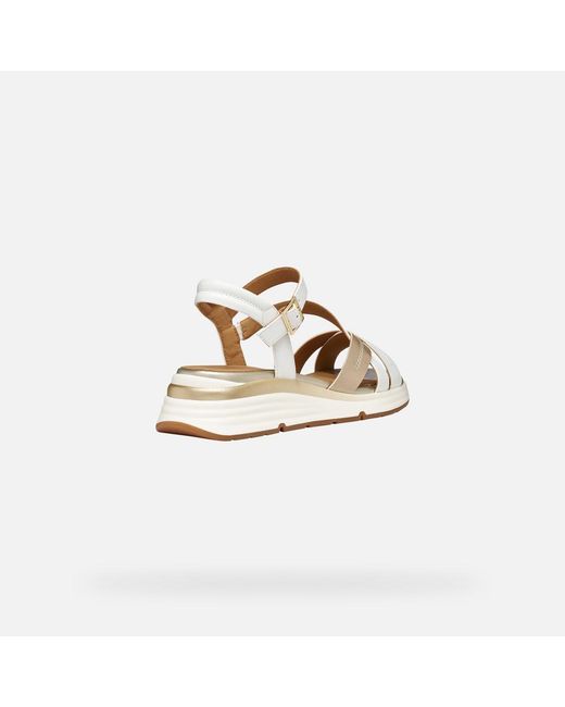 Geox Metallic Elowynne