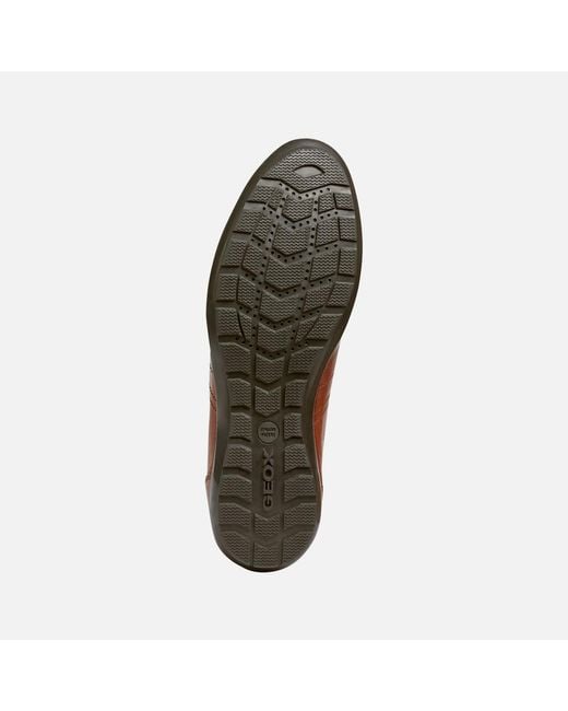 Geox Brown Symbol for men