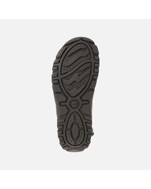 Geox Multicolor Strada for men